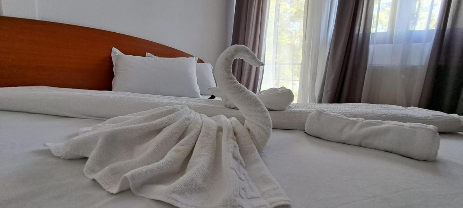 Hotel Pescarus Port บีคาซ ภายนอก รูปภาพ